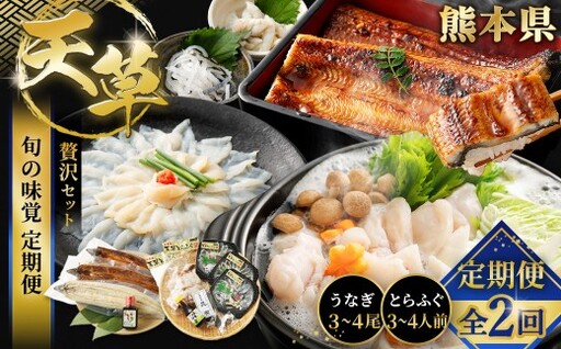 [ 天草旬の味覚定期便 2回 ( 3 〜 4人前用 ) ] 天草とらふぐてっさてっちり贅沢セット+藍うなぎ紅白3〜4尾セット / 刺身 魚 魚類 お魚 旬 フグ ふぐ とらふぐ うなぎ ウナギ 鰻 上 定期配送 定期 定期便 旨味 贅沢 蒲焼 蒲焼き