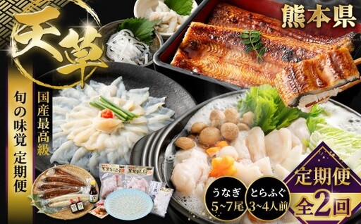 [ 天草旬の味覚定期便 2回 ( 3 〜 4人前用 ) ] 天草とらふぐコース+天草藍うなぎ紅白5〜7尾セット / 刺身 魚 魚類 お魚 旬 フグ ふぐ とらふぐ うなぎ ウナギ 鰻 上天草 定期配送 定期 定期便 贅沢 旨味 蒲焼 蒲焼き