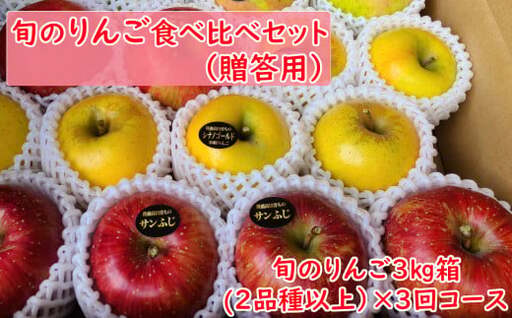 [先行予約] 3回定期便 旬のりんご食べ比べセット 3kg×3回コース [贈答用] 米崎りんご
