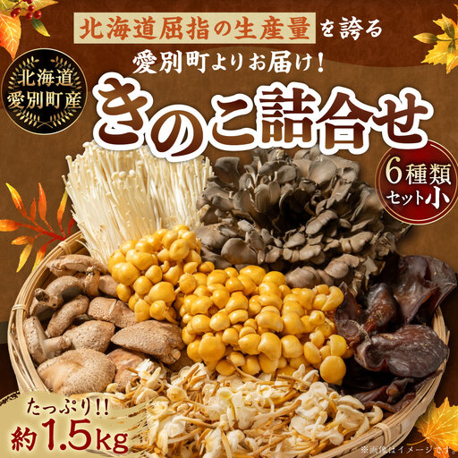きのこ詰合せ ( まいたけ、 椎茸、 えのき茸、 なめこ、 えぞゆきのした、 きくらげ ) 6種類セット [ 小 ] 約1.5kg きのこ キノコ 茸 新鮮 詰め合わせ セット 食べ比べ 国産 北海道産 茸料理