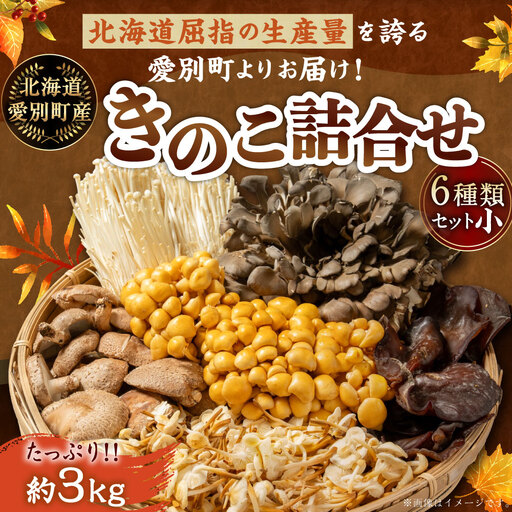 きのこ詰合せ 6種類 小2セット(約3.0kg) | 野菜 きのこ