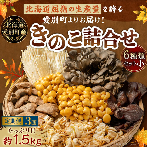 【 ３ヶ月定期便 】 きのこ詰合せ ( まいたけ、 椎茸、 えのき茸、 なめこ、 えぞゆきのした、 きくらげ ) ６種類セット 【 小 】 約1.5kg きのこ キノコ 茸 新鮮 詰め合わせ セット 食べ比べ 国産 北海道産 茸料理 定期 定期配送