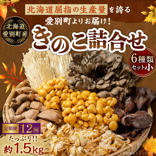【 12ヶ月定期便 】 きのこ詰合せ ( まいたけ、 椎茸、 えのき茸、 なめこ、 えぞゆきのした、 きくらげ ) ６種類セット 【 小 】 約1.5kg きのこ キノコ 茸 新鮮 詰め合わせ セット 食べ比べ 国産 北海道産 茸料理 定期 定期配送
