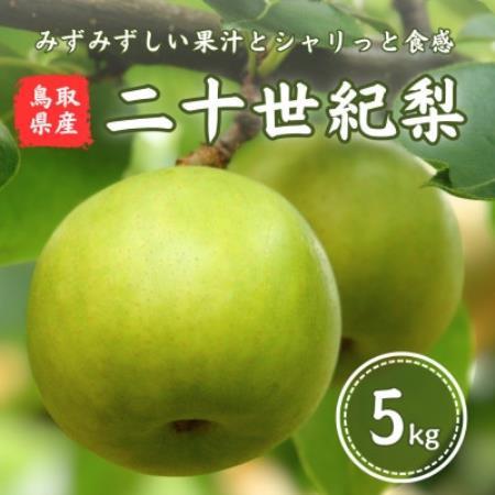 鳥取県産　二十世紀梨　5kg【1748587】