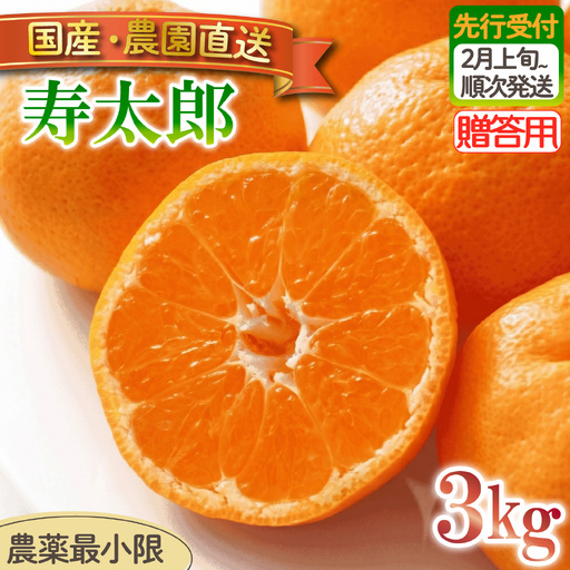 寿太郎 みかん 3kg [贈答用] みかん 沼津 静岡