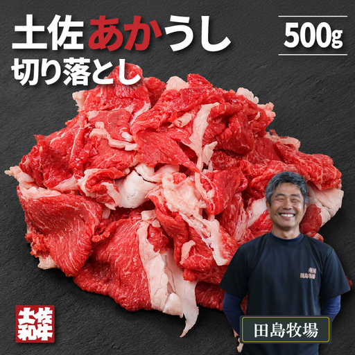 土佐 あかうし 赤牛 赤身 切り落とし 500g | あか牛 牛肉 希少 ブランド 国産 ギフト 冷凍 贈答 高知県 南国市