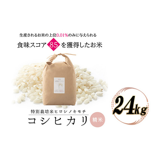 特別栽培米 コシヒカリ ヒロシノキモチ 精米 24kg ブランド米 銘柄米 国産 米 お米 日本米 ギフト 贈り物 備蓄 防災 食品 陽咲玲 はるざれ F6T-1015