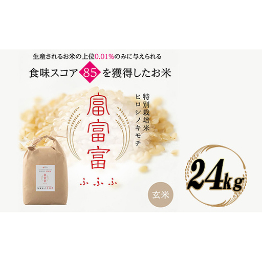 富山県ブランド米 富富富 玄米 24kg ふふふ ブランド米 国産 米 お米 日本米 ギフト 贈り物 備蓄 防災 食品 陽咲玲 はるざれ F6T-1017