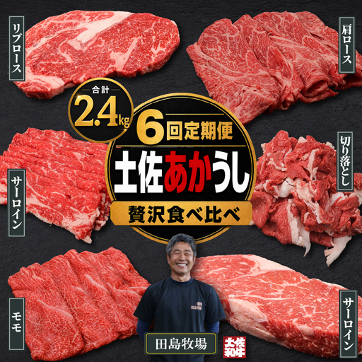 [6回 定期便] 土佐 あかうし 赤牛 赤身 贅沢 食べ比べ 6種 2.4kg | あか牛 牛肉 希少 ブランド 国産 ギフト 冷凍 贈答 高知県 南国市