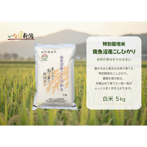 【令和８年産新米予約】 南魚沼産コシヒカリ特別栽培米 白米 5kg【2026年9月下旬より1ヶ月以内に順次発送予定】