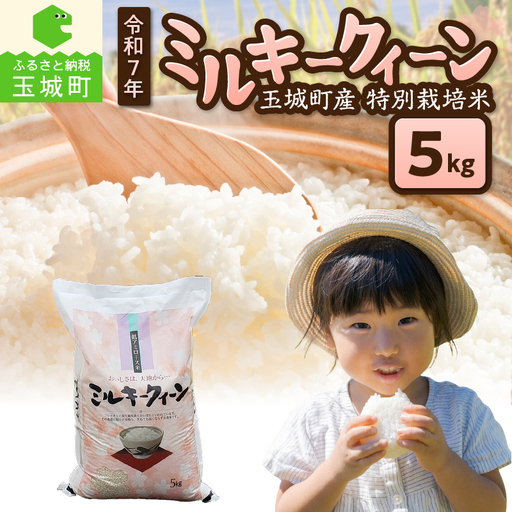 令和7年産 ミルキークイーン 5kg お米 白米 精米