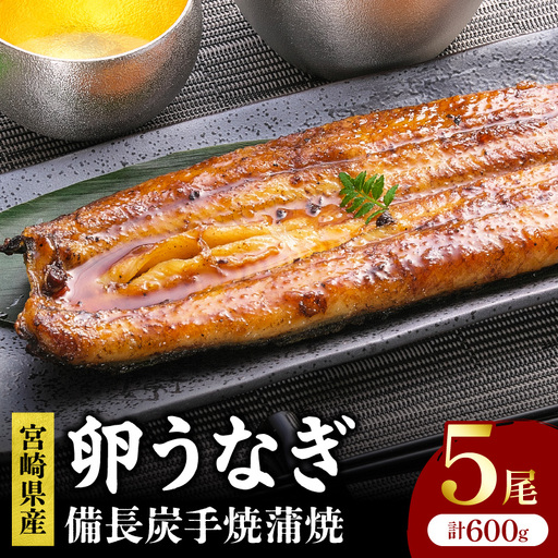 うなぎ 蒲焼 5尾 うなぎ[鰻 卵うなぎ 備長炭 計600g]