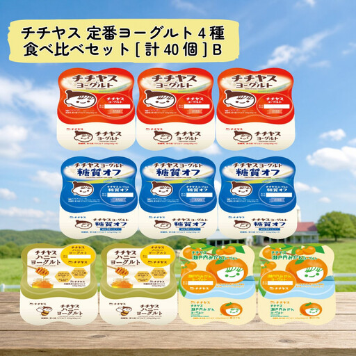 チチヤス 定番ヨーグルト4種食べ比べセット[計40個] B