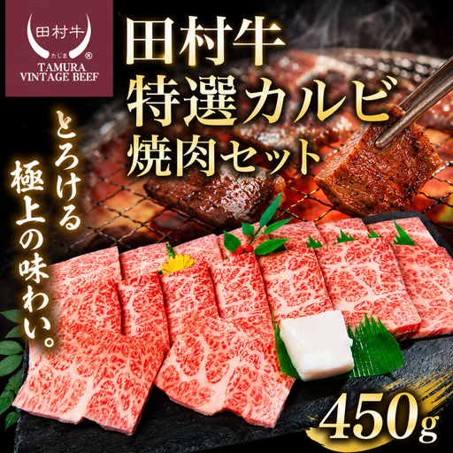 田村牛 特選カルビ焼肉セット