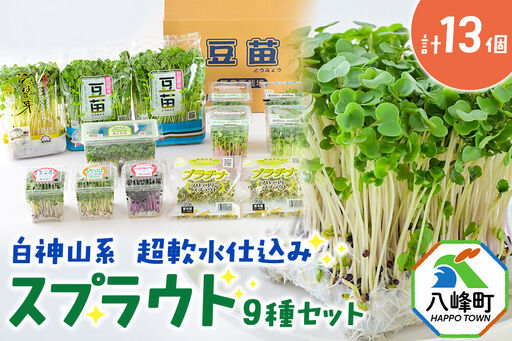 スプラウト、かいわれなど9種セット[白神山系 超軟水仕込み] 計13個