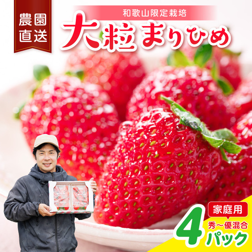 大粒の贅沢！「まりひめ」を農家直送で【家庭用】4パック【1332】