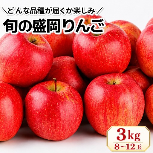 [先行予約]旬の盛岡りんご 詰め合わせ 品種おまかせ 約3kg 8〜12玉 朝島観光りんご園 asashima003 りんご