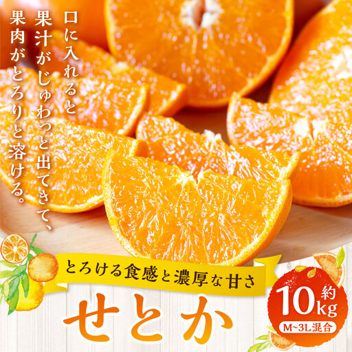 【 とろける食感と濃厚な甘さ 】 せとか 約10kg みかん ミカン 柑橘 柑橘類 柑橘系 くだもの 果物 フルーツ 果実 果汁 果肉 国産 愛媛県産 【 2027年2月上旬～4月下旬発送予定 】 ( 1047 )