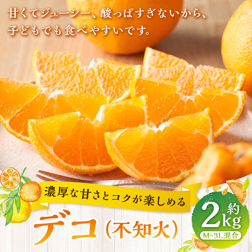 [ 濃厚な甘さとコクが楽しめる ] デコ ( 不知火 ) 約2kg みかん ミカン 柑橘 柑橘類 柑橘系 くだもの 果物 フルーツ 果実 果汁 果肉 国産 愛媛県産 [ 2027年1月上旬〜4月下旬発送予定 ] ( 1048 )