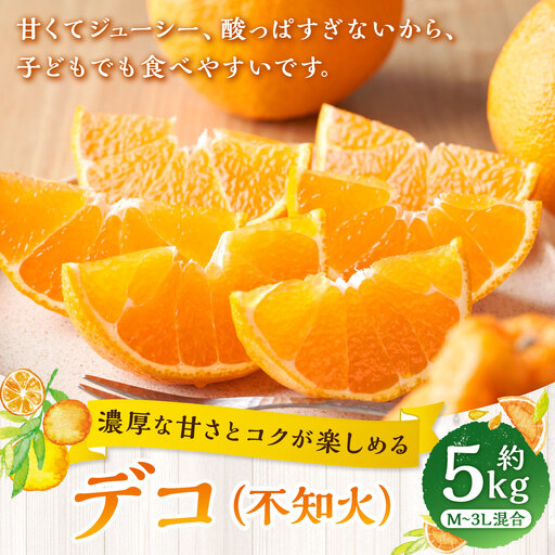 【 濃厚な甘さとコクが楽しめる 】 デコ （ 不知火 ） 約5kg みかん ミカン 柑橘 柑橘類 柑橘系 くだもの 果物 フルーツ 果実 果汁 果肉 国産 愛媛県産 【 2027年1月上旬～4月下旬発送予定 】 ( 1050 )