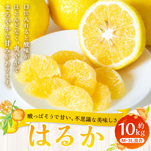 【 酸っぱそうで甘い、不思議な美味しさ 】 はるか 約10kg みかん ミカン 柑橘 柑橘類 柑橘系 くだもの 果物 フルーツ 果実 果汁 果肉 国産 愛媛県産 【 2027年2月上旬～3月下旬発送予定 】 ( 1057 )