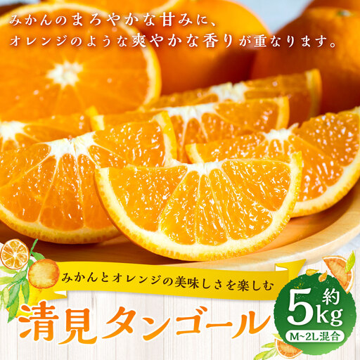 【 みかんとオレンジの美味しさを楽しむ 】 清見タンゴール 約5kg みかん ミカン オレンジ 柑橘 柑橘類 柑橘系 くだもの 果物 フルーツ 果実 果汁 果肉 国産 愛媛県産 【 2027年2月下旬～5月上旬発送予定 】 ( 1064 )