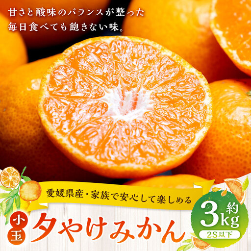 [ 家族でたっぷり楽しめる、愛媛の小粒みかん ] 夕やけみかん ( 小玉 ) 約3kg ミカン 柑橘 柑橘系 柑橘類 くだもの 果物 フルーツ 果実 果汁 果肉 国産 愛媛県産 [ 2026年10月下旬-2027年1月下旬発送予定 ] ( 1106 )