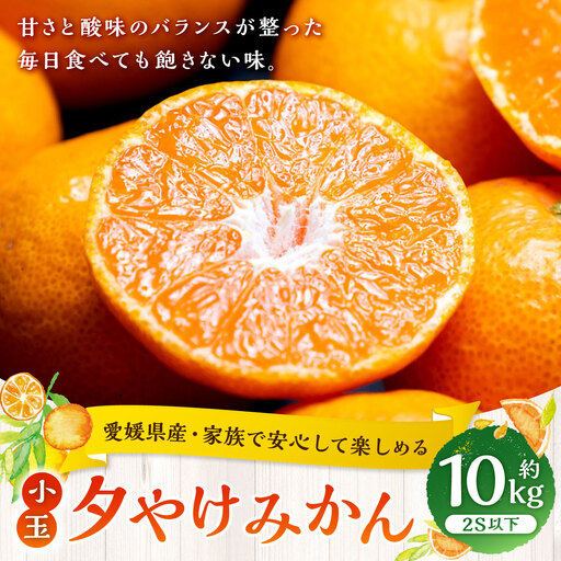 【 家族でたっぷり楽しめる、愛媛の小粒みかん 】 夕やけみかん （ 小玉 ） 約10kg みかん ミカン 柑橘 柑橘系 柑橘類 くだもの 果物 フルーツ 果実 果汁 果肉 国産 愛媛県産 【 2026年10月下旬-2027年1月下旬発送予定 】 ( 1108 )