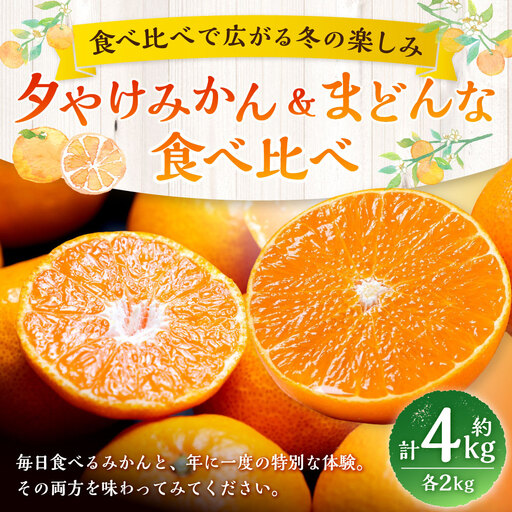 [ 食べ比べで広がる冬の楽しみ ] まどんな ( 紅まどんなと同品種 ) 約2kg+夕やけみかん 約2kg みかん ミカン 柑橘 柑橘系 柑橘類 くだもの 果物 フルーツ 果実 果汁 果肉 国産 愛媛県産 [ 2026年11月下旬-2027年1月下旬発送予定 ] ( 1114 )
