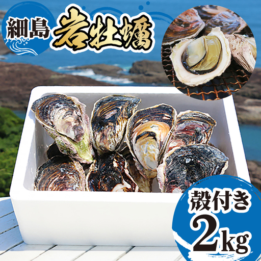 [期間限定発送]牡蠣 岩牡蠣 殻付き 細島 岩ガキ 約 2kg
