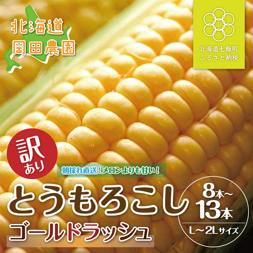 【先行予約】 訳あり 北海道七飯町産 とうもろこし 「朝採れゴールドラッシュ8～13本」（L～2L） NAZ028 | とうもろこし