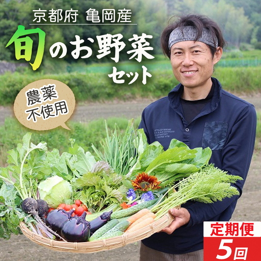 [5回定期便]お野菜セット かたもとオーガニックファーム 野菜