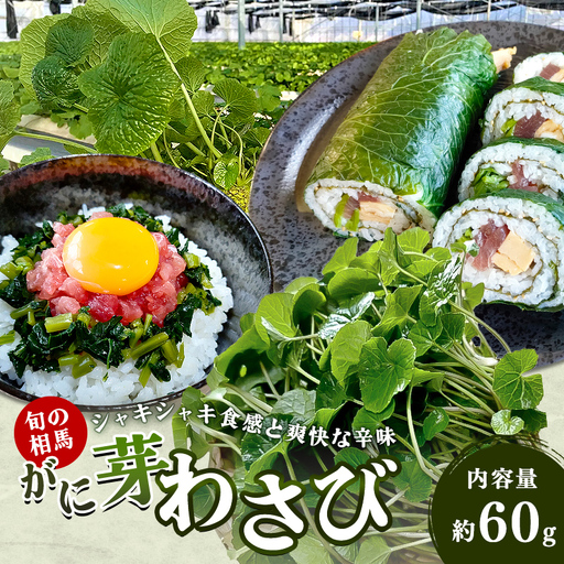旬の相馬 がに芽わさび 約60g 薬味 野菜 食品