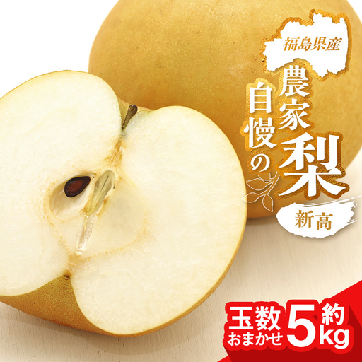 農家自慢の梨 新高 約5kg（玉数おまかせ）  なし ナシ 梨 デザート フルーツ 果物 くだもの 果実 食品 FAI-0073