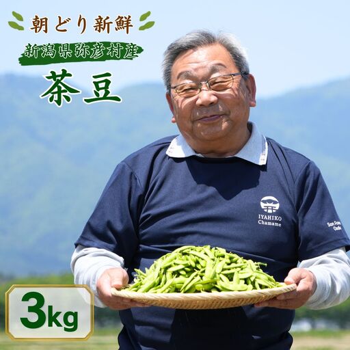 【先行予約】 枝豆 茶豆 3kg | 朝どり新鮮 新潟県 弥彦村