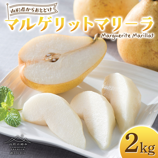FYN6-446 [山形の極み] 贈答用 山形県産 西洋梨 マルゲリットマリーラ 2kg(4〜6玉) 2026年9月下旬から順次発送 西洋なし 洋なし 秋果実 果物 くだもの フルーツ 化粧箱 ギフト箱 贈答 贈り物 ギフト プレゼント 自宅 家庭 山形県 西川町 月山