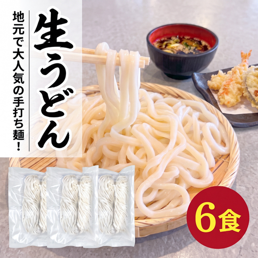 手打ちうどん 6食(2食×3袋) うどん