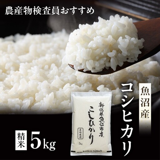 先行予約 令和8年産 農産物検査員お奨め 魚沼産こしひかり（精米）5kg お米 コシヒカリ