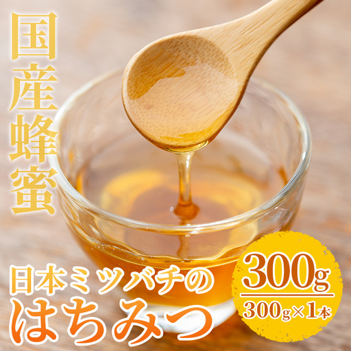 国産はちみつ 非加熱 300g 百花蜜 はちみつ[00-066-01]