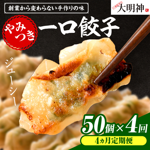 【4回定期便】一口餃子 50 個入りタレ１個（3か月に1回お届け）_kn107-t004
