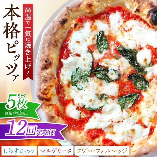 【全12回定期便】ピザ ナポリピッツァ 5枚セット( マルゲリータ2枚 しらすのピッツァ2枚 クワトロフォルマッジ1枚 ) / 冷凍 ナポリピザ ピッツァ チーズ 食べ比べ 詰め合わせ 定期便 / 愛媛県砥部町/Pizzeria39[BJCI008]