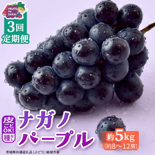 【定期便】3か月連続でお届け！ナガノパープル 約5kg （約8～12房）【2026年8月より発送開始】（茨城県共通返礼品 [ぶどう]：結城市産）