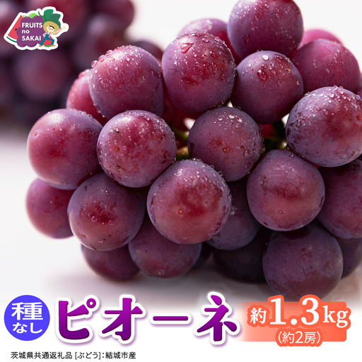 ピオーネ 約1.3kg (約2房)[2026年8月より発送開始](茨城県共通返礼品 [ぶどう]:結城市産)
