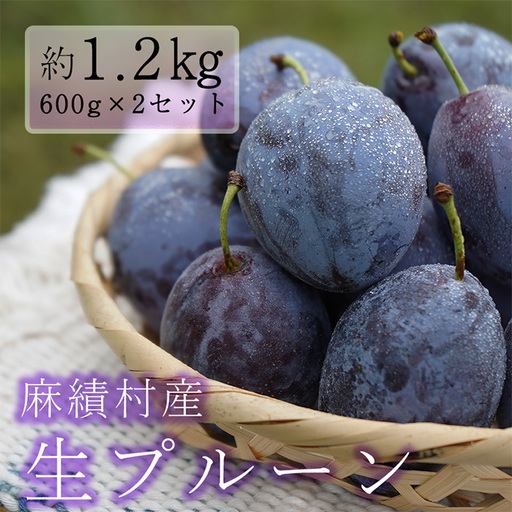 [2026年予約]信州 麻績村産 生プルーン 約 1.2kg 600g × 2パック フルーツ 果物 プルーン 産地直送 予約 麻績村 新返礼品 令和8年 収穫分 9月発送 9月上旬 9月中旬 受付 発送