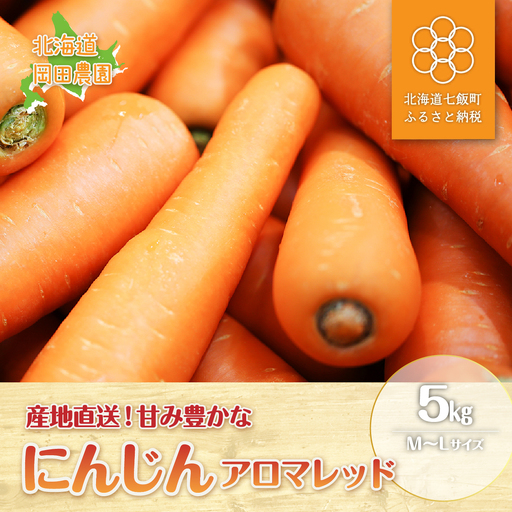 [先行予約] 北海道七飯町産 にんじん 「アロマレッド5kg」(M〜L) NAZ030 | にんじん