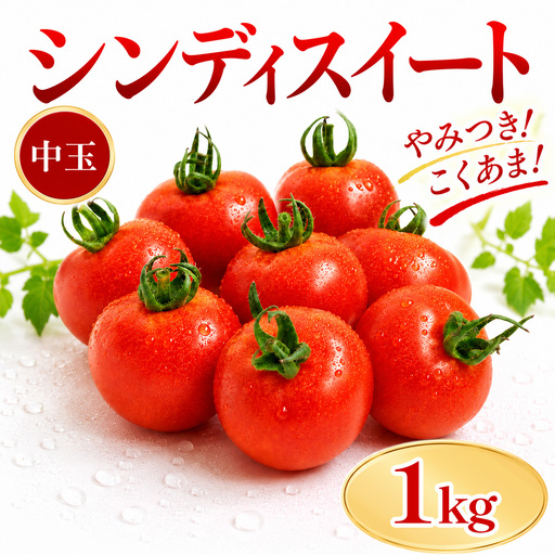 トマト 1kg シンディスイート 新鮮 産地直送 徳島県 三好市 [ 野菜 ]