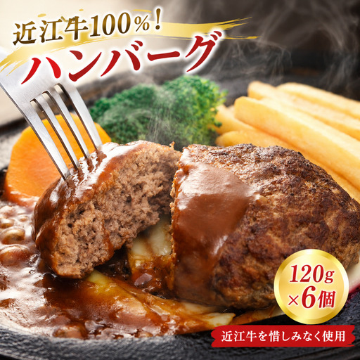 [近江牛100%使用] ハンバーグ 6個入 バーグ 近江牛 牛100% 牛 個包装