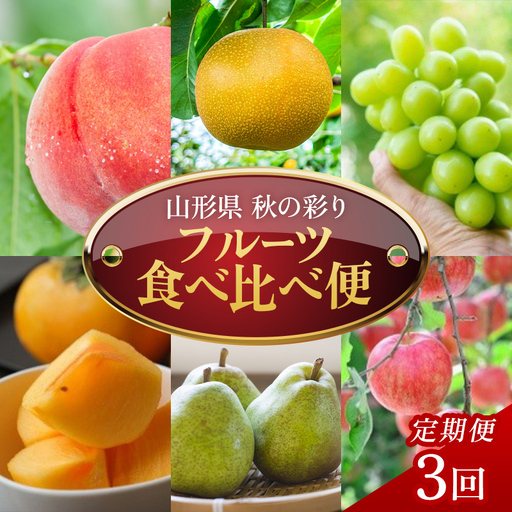 【定期便3回】秋の彩りフルーツ食べ比べ便 FSY-2767