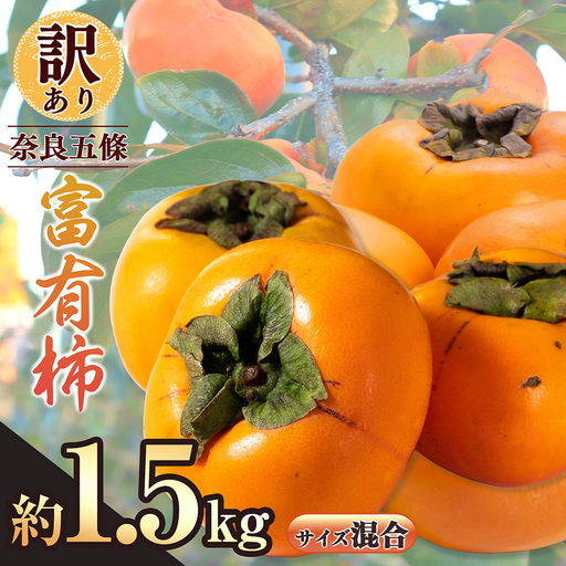 訳あり 富有柿 約1.5kg サイズおまかせ | フルーツ くだもの 果物 柿 かき カキ 奈良県 五條市