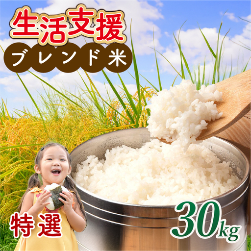 【 訳あり 】 近江ブレンド米 特選 白米 30kg